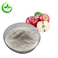 100% Natural Freeze Dried Apple Concentrate Powder, Apple Juice Powder