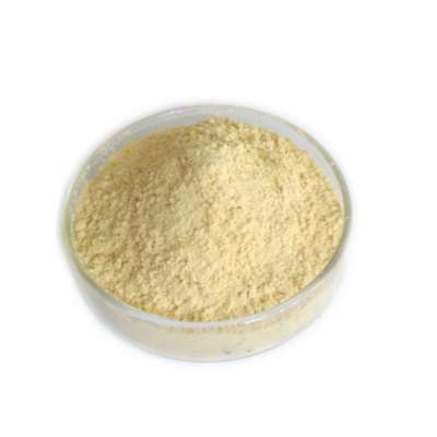 100% Natural Freeze Dried Organic citrus powder/citrus extract powder/orange fruit juice powder