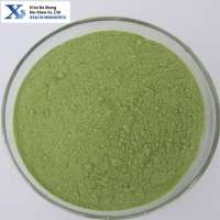 GMP Natural High Quality Green Apple Powder